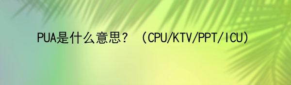 PUA是什么意思？（CPU/KTV/PPT/ICU）