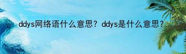 ddys网络语什么意思？ddys是什么意思？