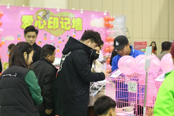 宠物萌翻天！2018中国（郑州）国际宠物博览会今日开幕