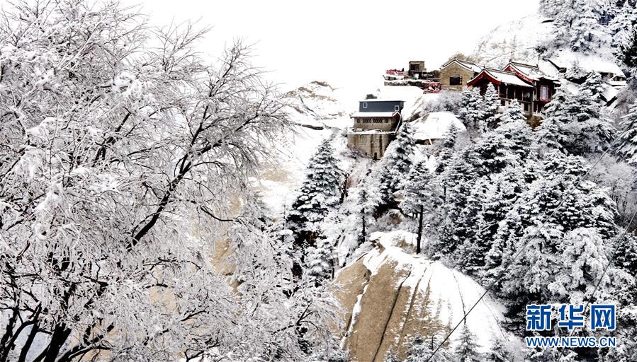 纷纷扬扬的大雪将西岳华山装扮得银装素裹 满山的雪凇让游客流连忘返