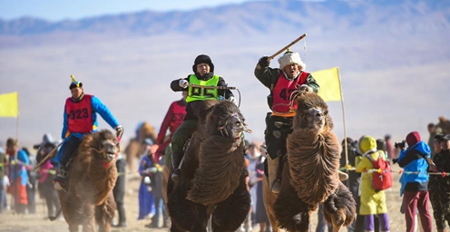 内蒙古乌拉特后旗骆驼文化旅游节开幕 为期3天