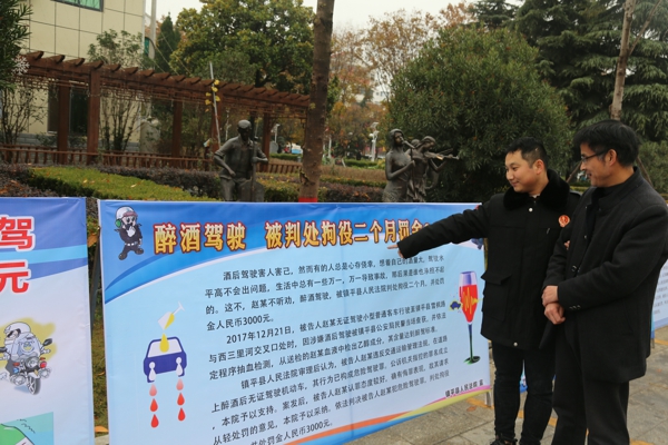 镇平县法院：积极组织开展宪法宣传活动