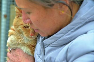 洛阳：退休公务员自费建流浪猫狗救助小院 半年救助动物超120只