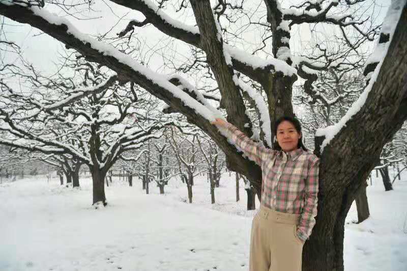 宁陵县万亩梨园雪景引众多市民前来拍照