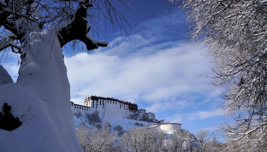 拉萨迎来今冬第一场雪