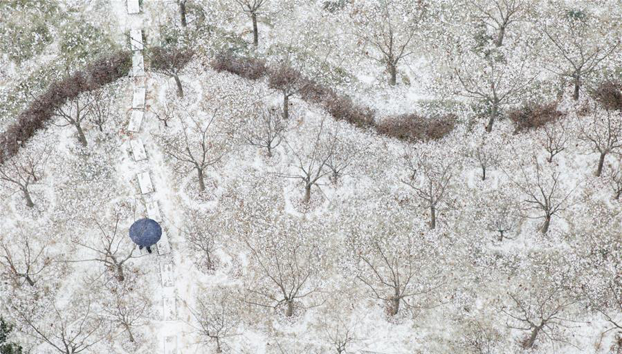 瑞雪迎新年