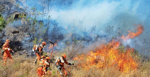 四川西昌发生森林火灾 过火面积约17公顷