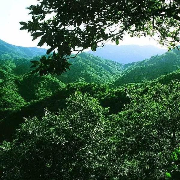 河南省旅游景区再添“国字号”生态名片  驻马店金顶山入选国家森林公园