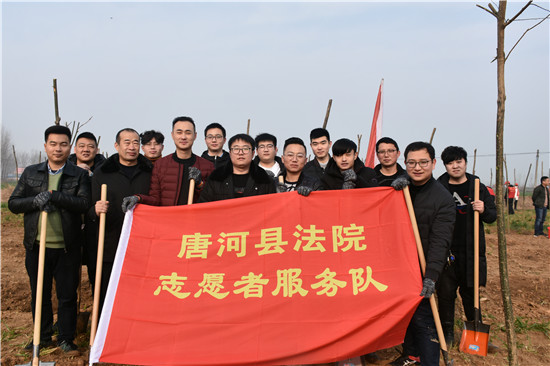 唐河县法院积极开展义务植树活动