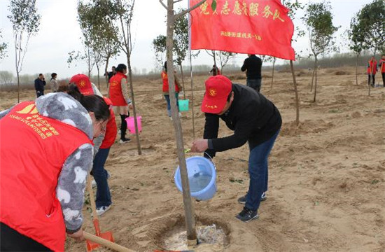 郑州市兴达路街道：牵春风种绿意 志愿环保在行动