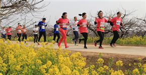 西华县举办桃园生态国际马拉松