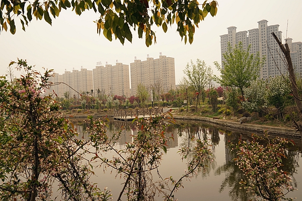 幸福家园：十里海棠，三河绕城，广场上西平人的健康主题生活