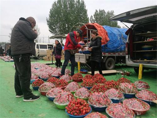 郑州惠济区新城街道弓寨蔬菜疏导点开门营业 种类丰富齐全