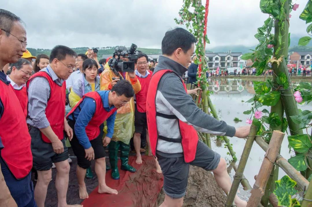 这个五一，来大别明珠里罗城插秧吧！