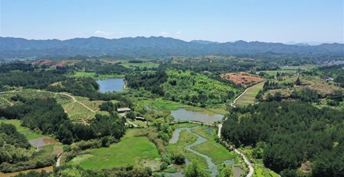 福建长汀：从“山光水浊”到绿水青山